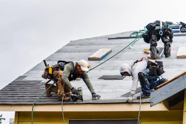 Professional Gutter Installation technician working in Willis, MI